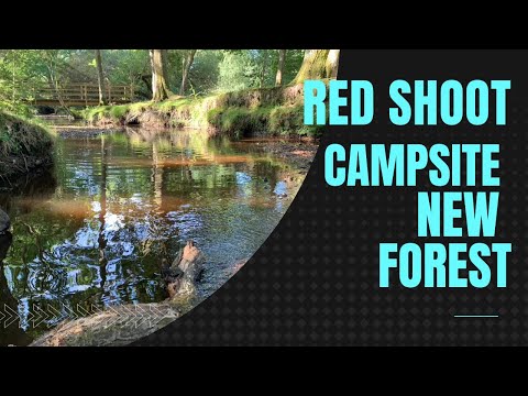 Red Shoot Campsite review, New Forest