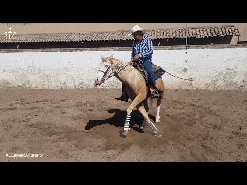 EL CAMINO AL FUTURITY: Capítulo 14