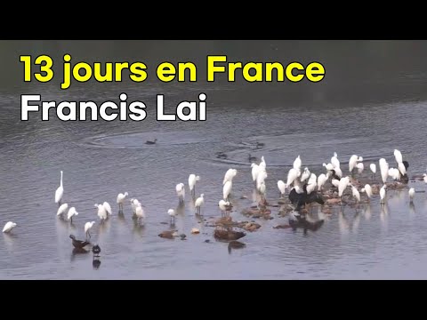 Francis Lai - 13 jours en France