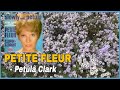 Petula Clark - Petite Fleur (1964)