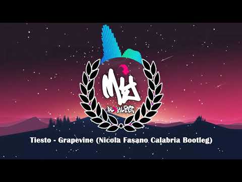 Tiesto - Grapevine (Nicola Fasano Calabria Bootleg)