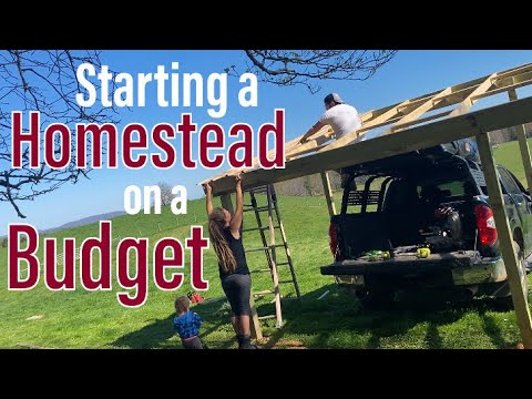 💰The EXACT COSTS of Starting a Homestead from Scratch on a Budget 🐓#offgrid #homestead