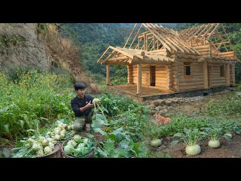 120 days from Plant to harvest kohlrabi to maket sell, Completing ROOF Log Cabin, Alone Build