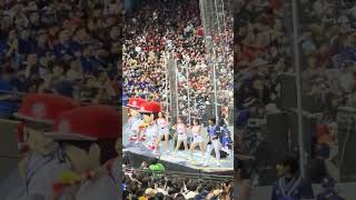 【CTAMAZE】PREMIER12 台湾VSオーストラリア@台北大巨蛋20241117 #台湾チア #cheerdance #cheerleading #啦啦隊 #amaze #teamtaiwan