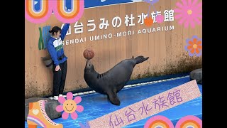 通關後第一擊 日本東北 第4話 仙台うみの杜水族館