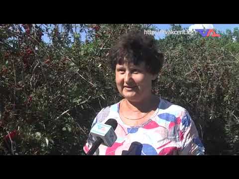 Выпуск программы “День” от 21 июля 2022г.