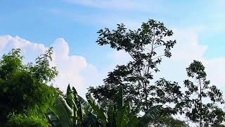 Download lagu SOUNDTRACK ASMARA GENZ POV HARQEEL |  LAGU HARQEEL 2025 | TERPOPULER TANPA IKLAN 🎶 mp3