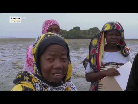 Inselträume Sansibar Tansania