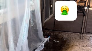 What does a professional birdproofing job look like?