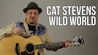 How To Play Cat Stevens - Wild World