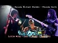 Jeff Beck, Narada Michael Walden, Rhonda Smith  *2011 Isle Of Wight* Little Wing