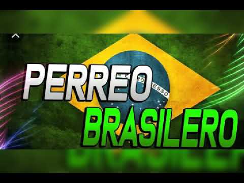 Mix Perreo Brasileño 2020 Lo Más Nuevo