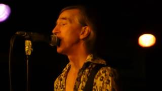 Fleshtones at Folk å Rock in Malmö, Sweden, 2016103 - Love my Lover