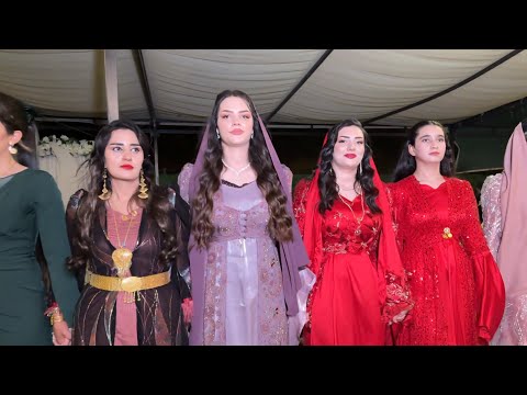 Nevzat Çiftçi - Gula Sor - Şemdinli Düğünleri - 2025