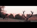 Benjamin Yellowitz Ash Wednesday Official Music Video