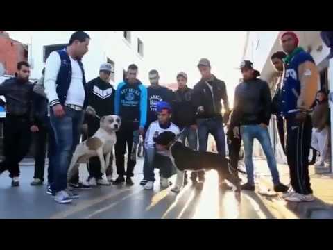 [New FRANKY] [ZAMA9TEL ][Emino] & [lil k] [2013]