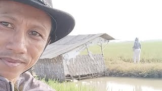 Download lagu KELILING SAWAH BADAN SEHAT AKEH MANFAAT mp3