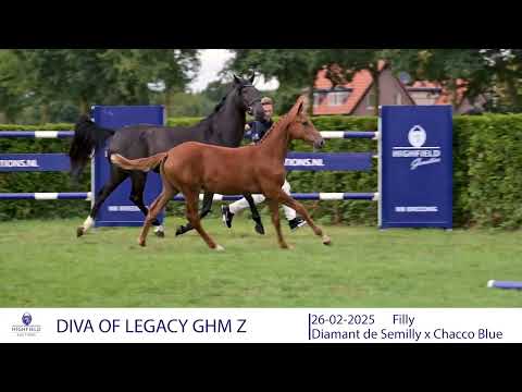 DIVA OF LEGACY GHM Z