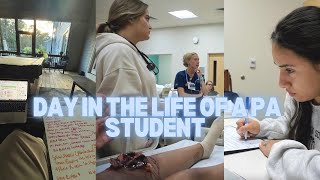 Download lagu The Truth About PA School Life | DITL, Study Days, Sim Labs, and Clinical Prep mp3 Download lagu The Truth About PA School Life | DITL, Study Days, Sim Labs, and Clinical Prep mp3