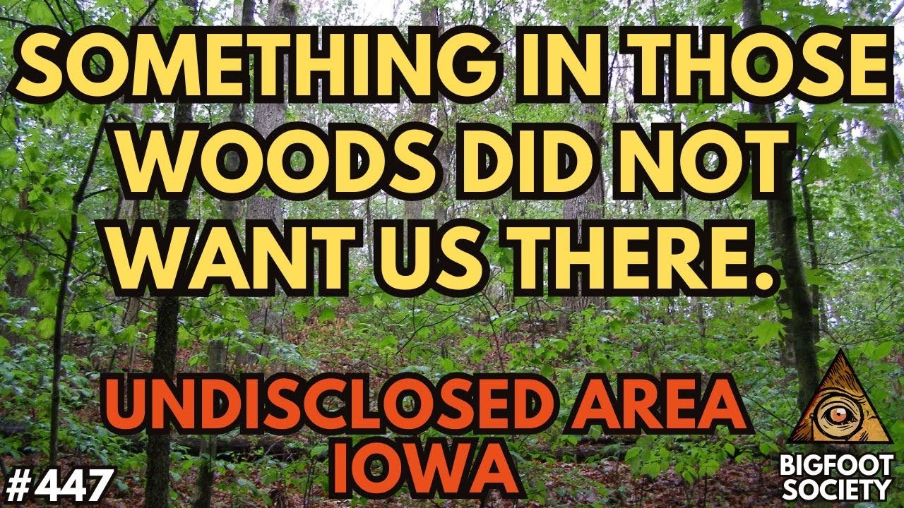 Something in the Woods Did not Want Us There.