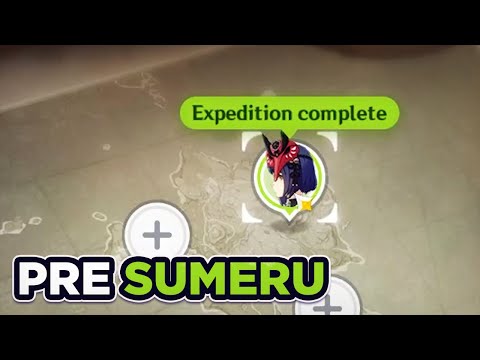 my top expedition setup for maximum value (pre Sumeru) - Beginner's Guide