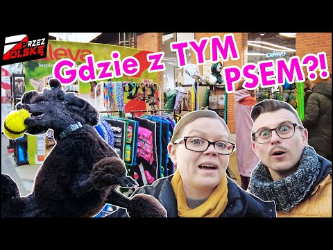 WARSZAWA || 🐩 Pieskie żyćko! Dzień z pudlem (standardem) 🏉 #PrzezPolskę