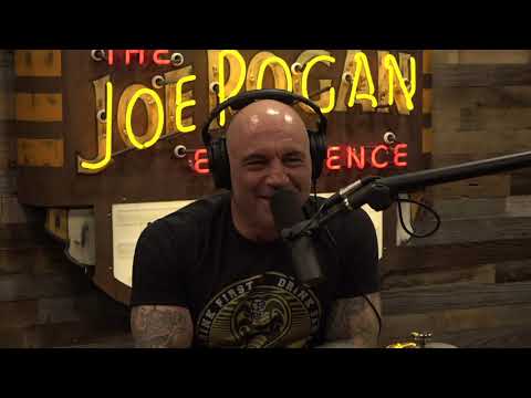 Joe Rogan Experience #1662 - Tom Papa