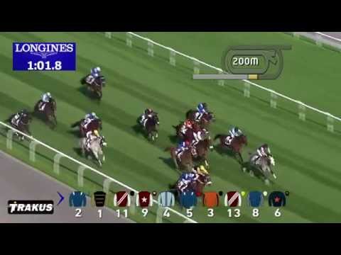 14.02.2015 Meydan (Dubai/UAE) 3. Race Gulf News - Handicap 1.200 m