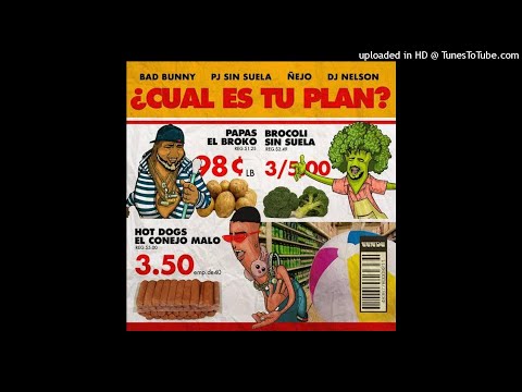 Bad Bunny X PJ Sin Suela X Ñejo - Cuál es Tu Plan (Audio)