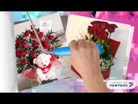 VIDEO GIANELLA CASTILLO