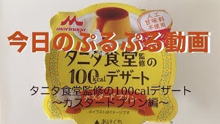今日のぷるぷる動画〜タニタ食堂監修の100calデザートのプリン〜