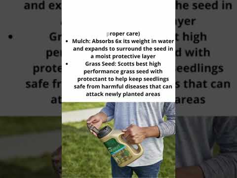 Scotts EZ Seed Dog Spot Repair Sun and Shade #shorts