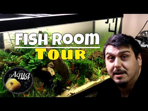 Aquarium Fish Room Tour of ALL OUR Tanks 
