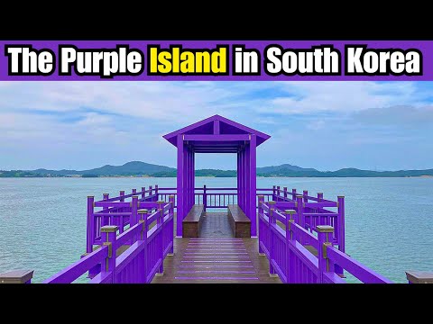 The Purple Island in South Korea