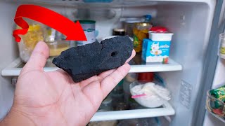 Put a piece of charcoal in your refrigerator, the incredible result will shock you.