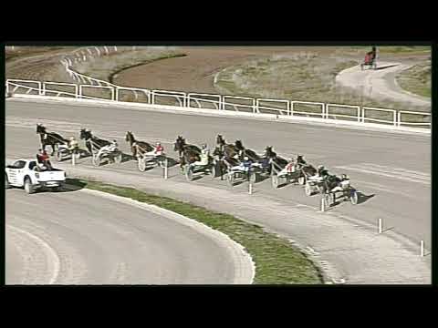 Trotto 14/02/2020 - 3ª corsa