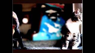 Never Alone Music Video