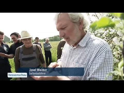 Hessenschau 22 05 2016