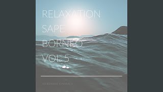 Download lagu Relaxation Sape Borneo Vol 5 mp3