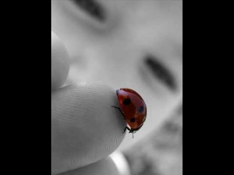 Đuka Čaić-Imam sreće,imam duše