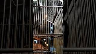 Download lagu Kacer Ngobra Nagen Satu Titik Tanpa Jeda mp3