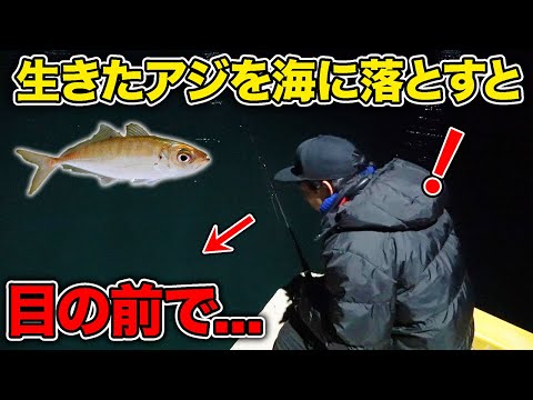 youtube-ガジェ・趣味記事2026/01/23 18:58:02