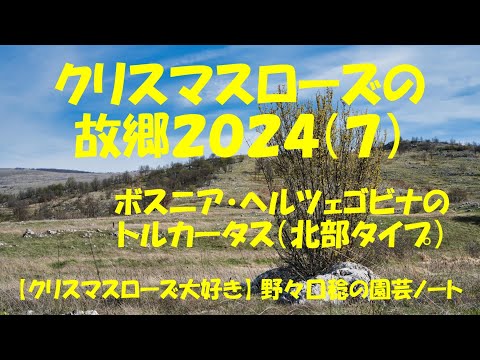  2024 年の満月とガーデニング – 月の満ち欠けに応じて、いつ何を植えるべきか?  庭園
