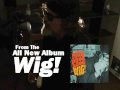 Peter Case - "Dig What You're Putting Down" from WIG! (Live)