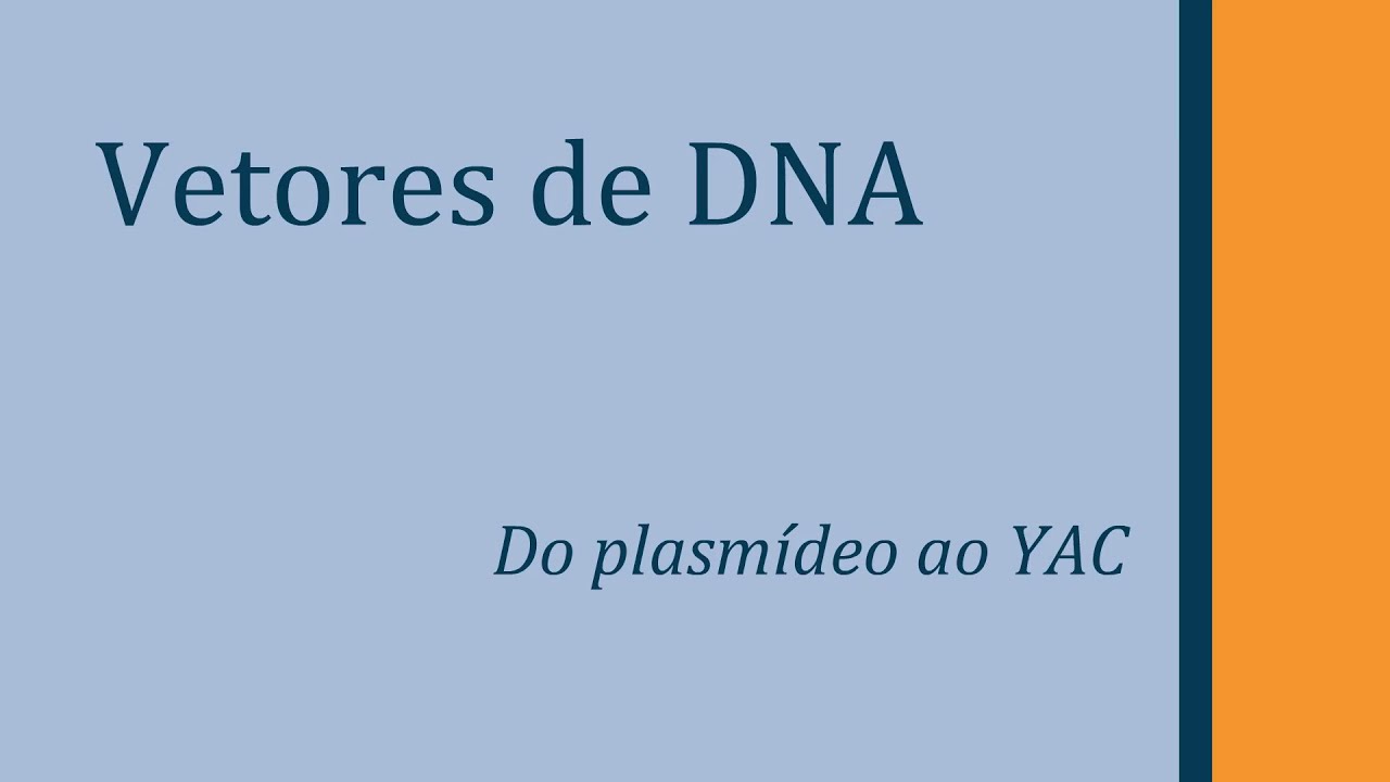 Vetores de DNA