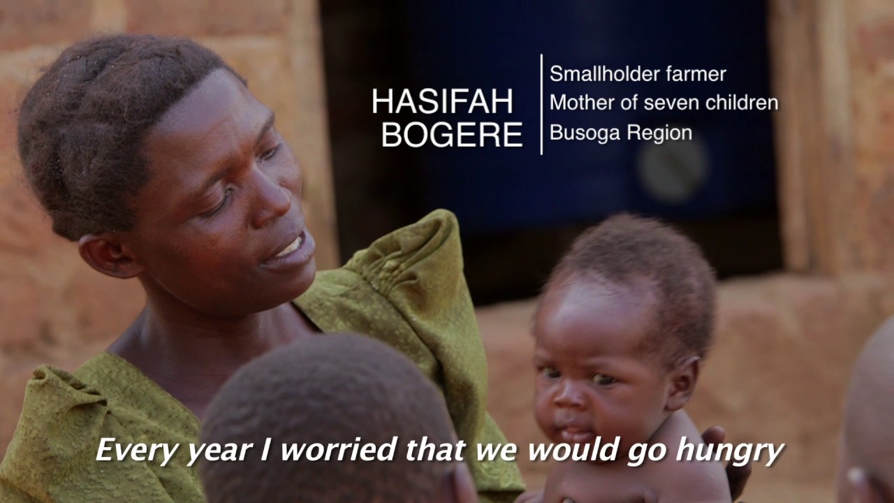 Empowering smallholder farmers in Uganda to reduce post-harvest loss -short version-