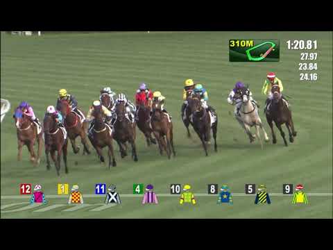 18/5/2022 (673) Smiling Face -  L Hewitson