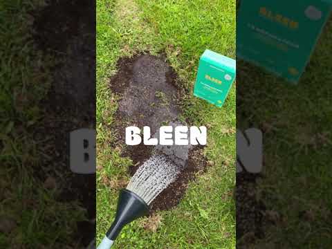 Tuto Bleen : comment regarnir ma pelouse ?