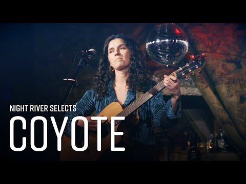 Hattie Whitehead - Coyote | Night River