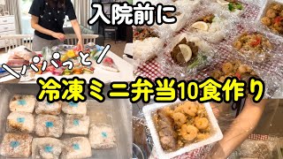 【入院前】家族の為に冷凍ミニ弁当10食！食材まとめ買いして一気に作り置き